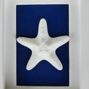 Estrella de mar de cerámica blanca montada sobre un fondo de tela azul en un marco blanco. Decoración con tema náutico.