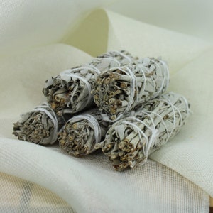 White Sage Smudge Bundle 10-12 cm | Meditation | Smudging | Natural Incense | Incense Lover Gift Idea | Home Energy Cleansing | Space Energy