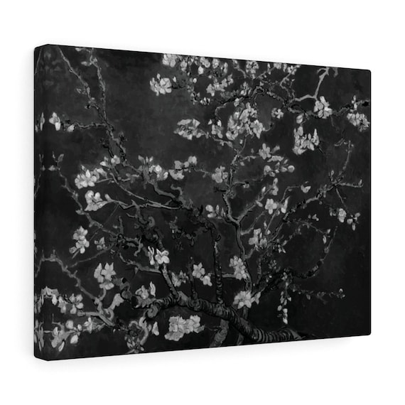 Almond Blossoms On Black Canvas Print, Vincent Van Gogh, 1890