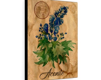 Aconite (Wolf's Bane) Canvas Print, Monkshood, Queen Of Poisons, Witch, Witchcraft, Apothecary, Shaman, Shamanism