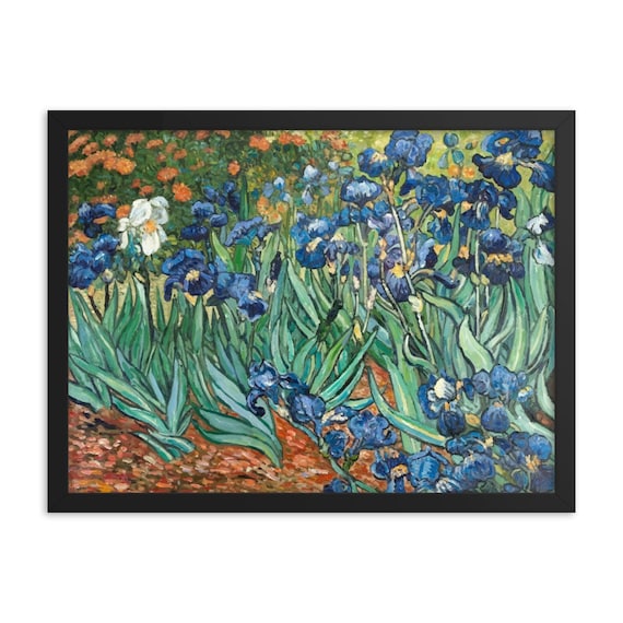 Irises 24 X 18 Framed Giclée Poster Black Wood | Etsy