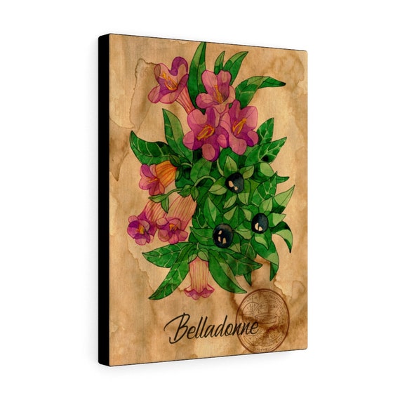 Belladonna (Nightshade) Canvas Print, Witch, Witchcraft, Apothecary, Shaman, Shamanism