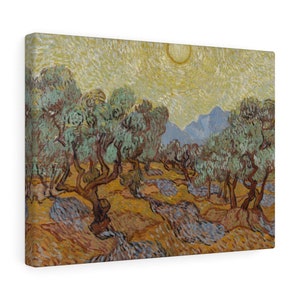 Olive Trees Canvas Print, Vincent Van Gogh, 1889