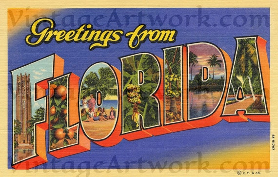 Greetings From Florida Postcard Front, Digital Download, Curt Teich & Co. Publisher,  1934, Americana