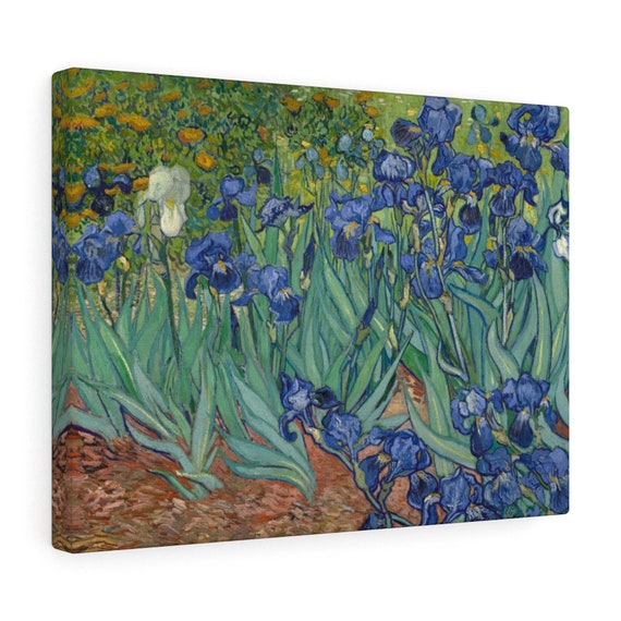 Irises Canvas Print, Vincent Van Gogh, 1890