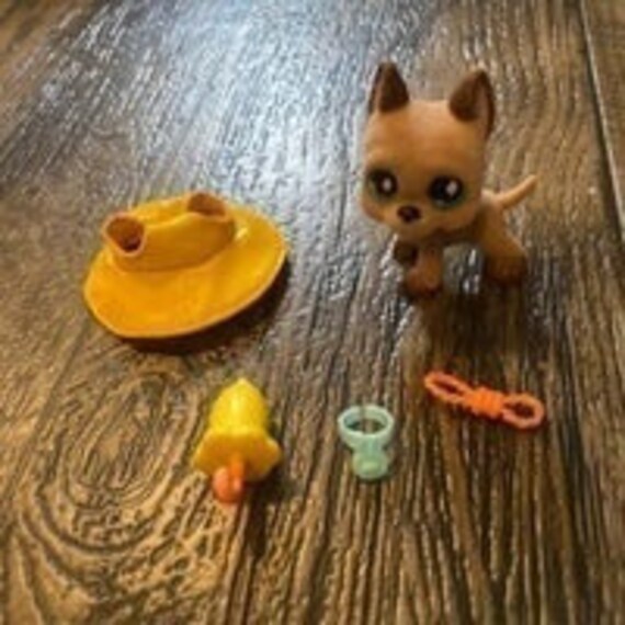 lps fuzzy great dane