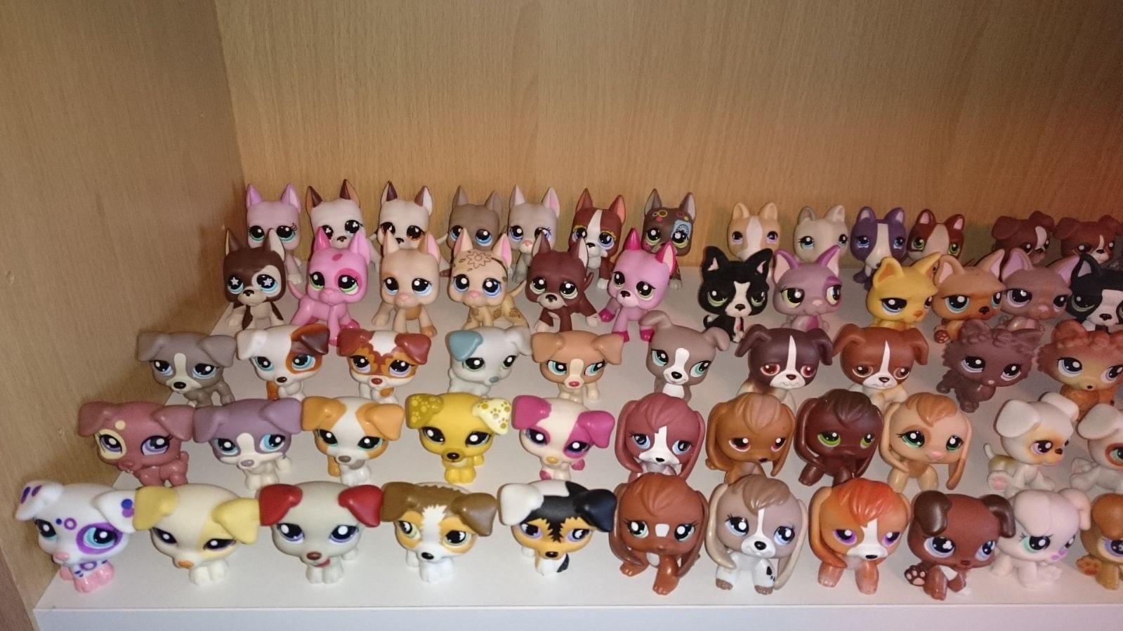 LPS Littlest pet shop chien European cat dogue colley cat dog rare