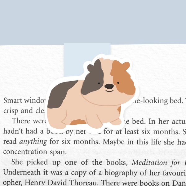 Guinea Pig  Magnetic bookmark