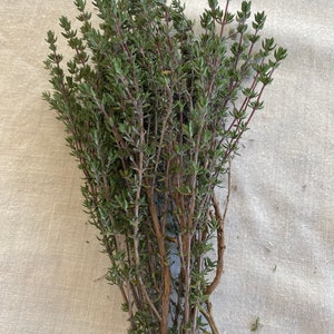 Thyme Herbal Bunch, Fresh