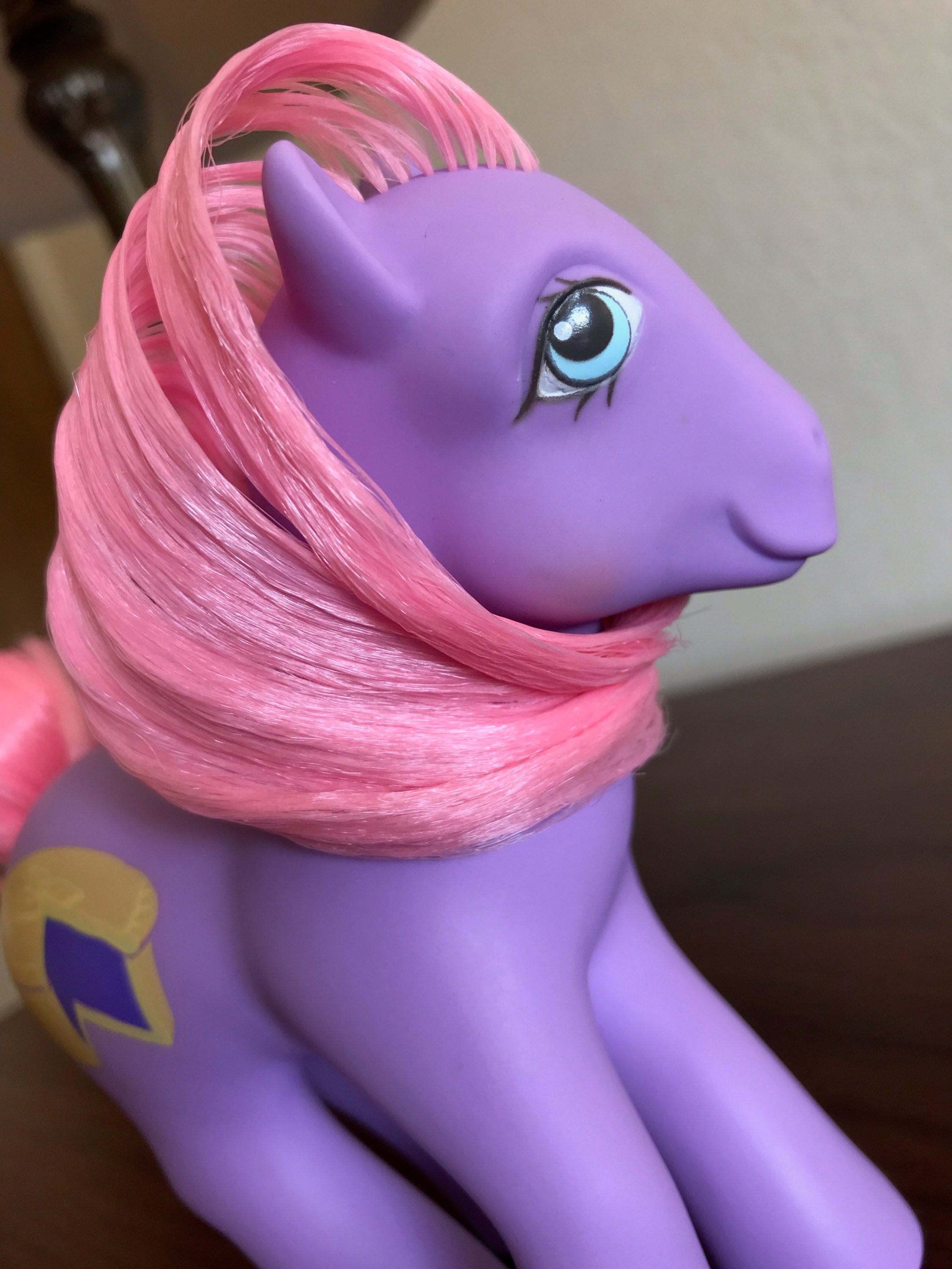 Mein kleines Pony/ my Little Pony g1 in 35630 Ehringshausen für € 26,00