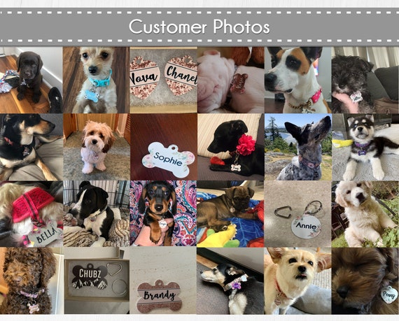Cookie top dog tag