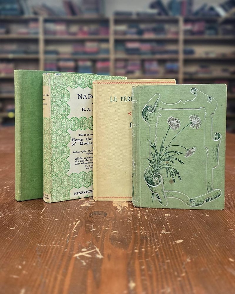 Spring Meadows Layout 1 Bundle of Petite Vintage Books: Spring Meadow - Etsy