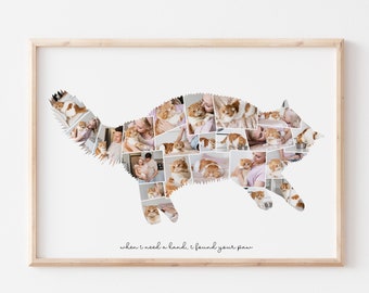 Personalizado Mascotas Shabby Placa gato de mascota Lady Amante Cumpleaños Chic Regalo Presente Personalizado Mascotas Shabby Placa gato de mascota Lady Amante Cumpleaños Chic Regalo Presente