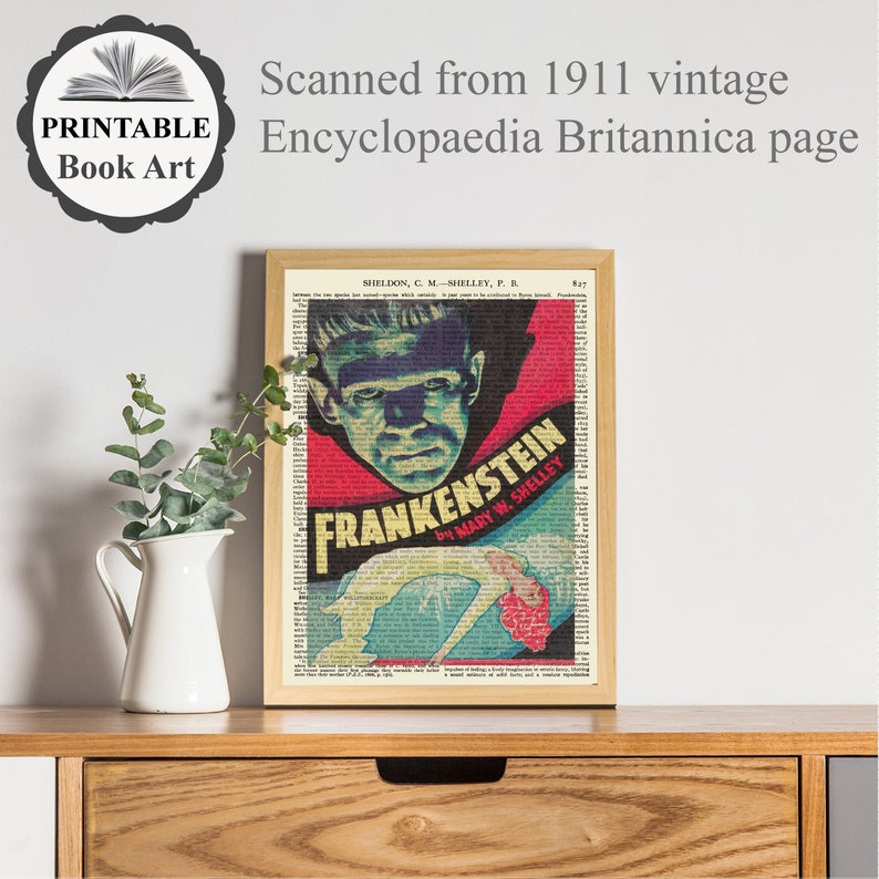 May include: A framed print of the Frankenstein book cover, featuring a green-faced monster and the title in bold white letters. The artwork is set against a backdrop of vintage encyclopedia pages, with the text "FRANKENSTEIN by MARY W. SHELLEY".