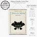 Printable 'flowers for Algernon' Book Cover Poster, Gift for Teacher ...