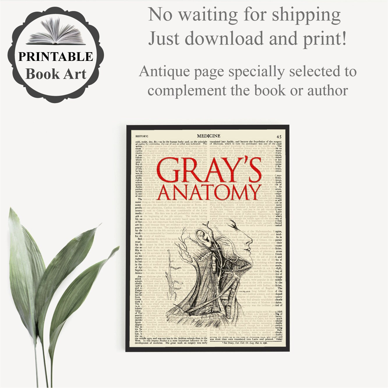 Grays Anatomy Book Vintage - Etsy