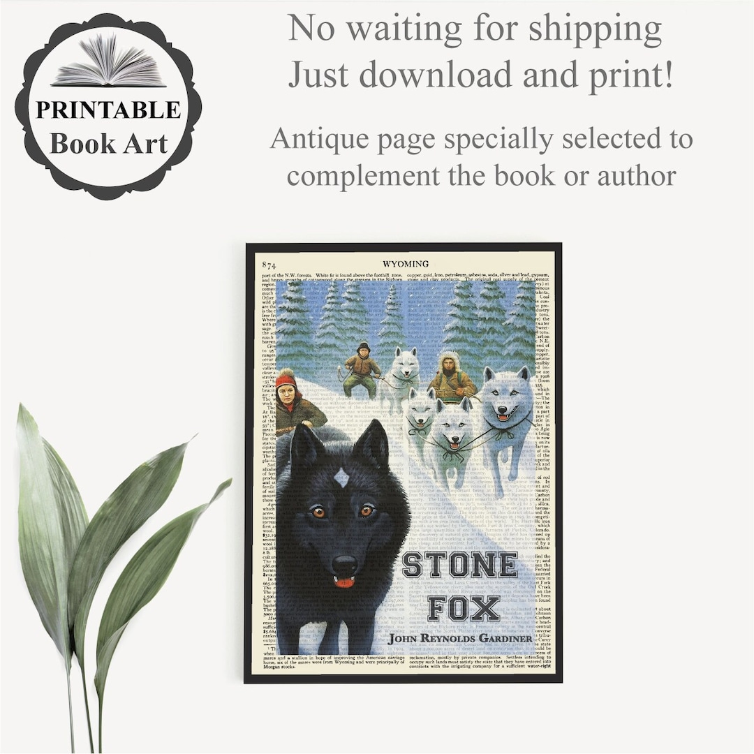 printable-stone-fox-book-cover-art-print-bookish-teacher-gift-gift