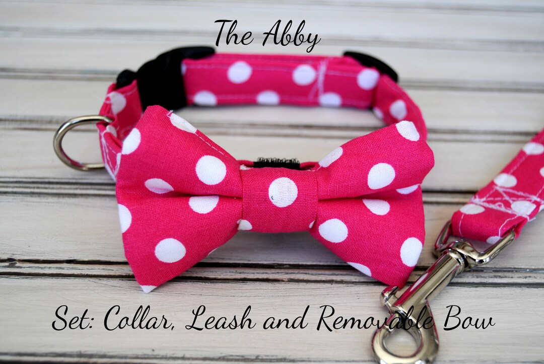 Dog Collar Personalized Collar With Name Collar Bow Tie Etsy