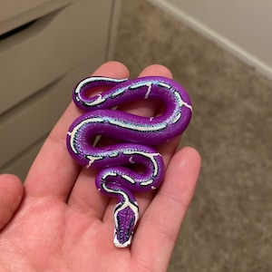 Ball python hotsell necklace