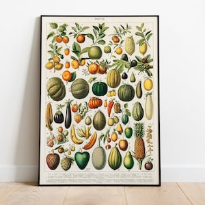 Adolphe Millot Fruit Market Poster - Vintage Kitchen Wall Art - Mother's Day Gift -  Fruit of the Spirit Print