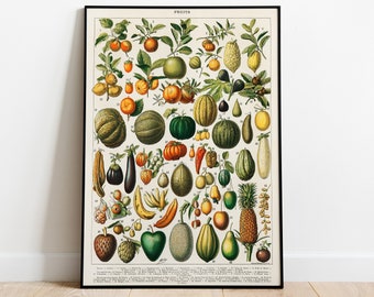 Adolphe Millot Fruit Market Poster - Vintage Kitchen Wall Art - Mother's Day Gift -  Fruit of the Spirit Print