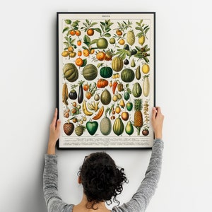 Adolphe Millot Fruit Market Poster Vintage Kitchen Wall Art Mother's Day Gift Fruit of the Spirit Print image 10