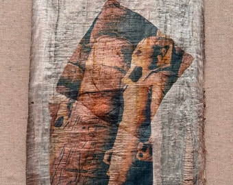 Seeing Amenhotep, a collage of Polaroid™ emulsion lifts on dark Egyptian papyrus