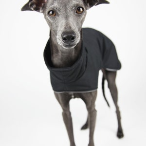 Warm Italian Greyhound Coat, Waterproof Iggy clothing, Jute & Sable Windsor Winter Coat in Black