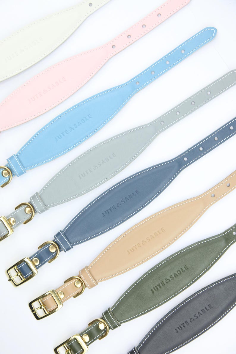 Pu&ograve; includere: Una collezione di collari per cani in pelle in vari colori pastello, tra cui verde chiaro, rosa, blu, grigio, beige e verde scuro. Ogni collare presenta cuciture bianche, una fibbia color oro e il testo "JUTE & SABLE".