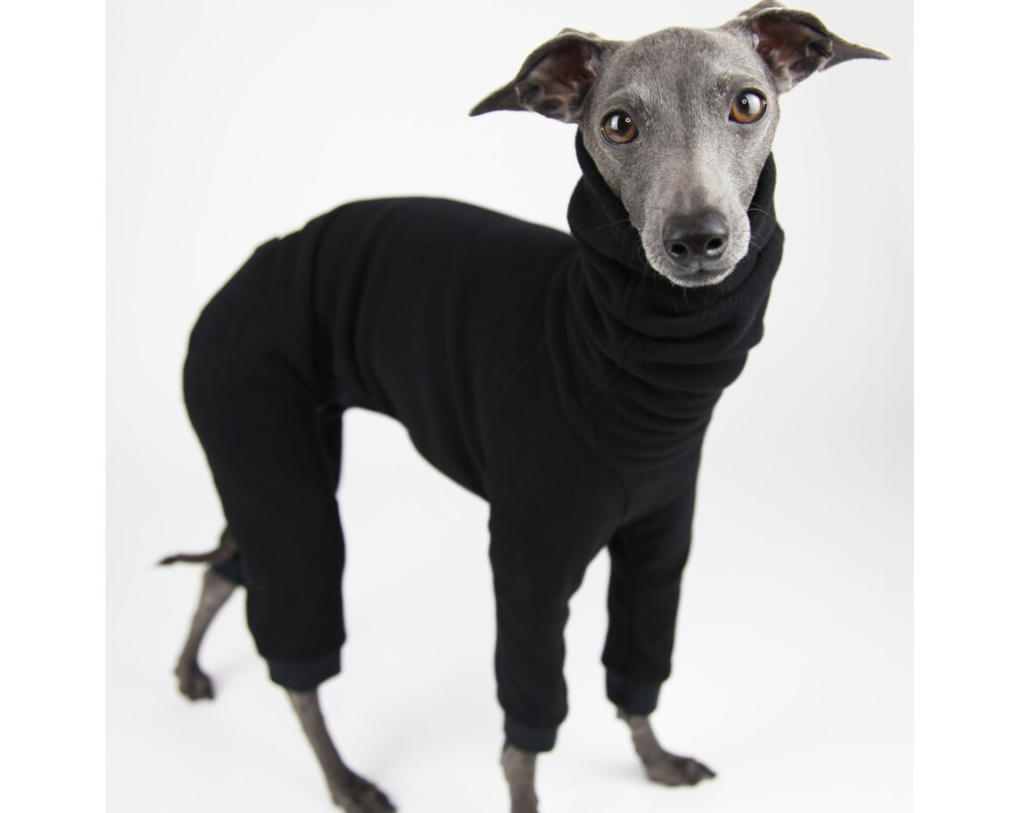 Italian Greyhound Clothing for Winter Iggy Fleece Onesie Dog Etsy