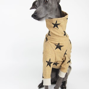 Star Print Italian Greyhound Clothing, Cotton lightweight Summer Clothing for Italian greyhounds, Jute & Sable Ryde (Sand) T-shirt