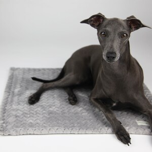 May include: A grey Italian Greyhound dog resting on a soft, light grey pet bed. The bed has a textured, patterned surface. The dog has a sleek, grey coat and is looking directly at the camera.