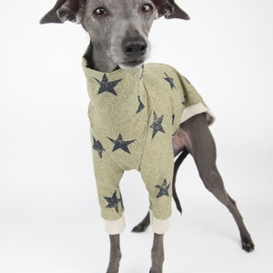 Star Print Italian Greyhound Clothing, Cotton lightweight Summer Clothing for Italian greyhounds, Jute & Sable Ryde (Sage) T-shirt