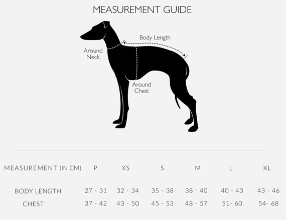 greyhound essentials