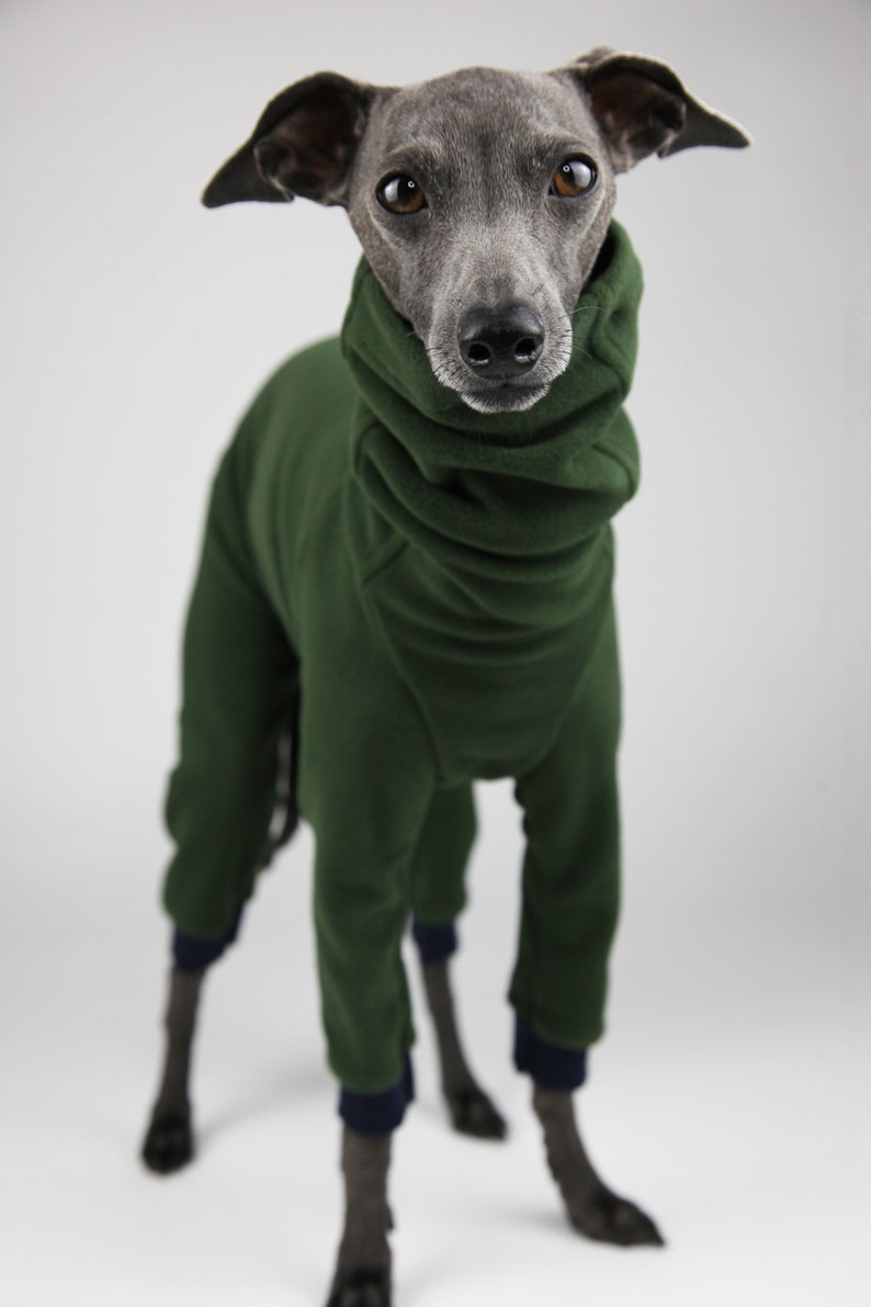 Italian Greyhound Clothing for Winter Iggy Fleece Onesie Dog Etsy