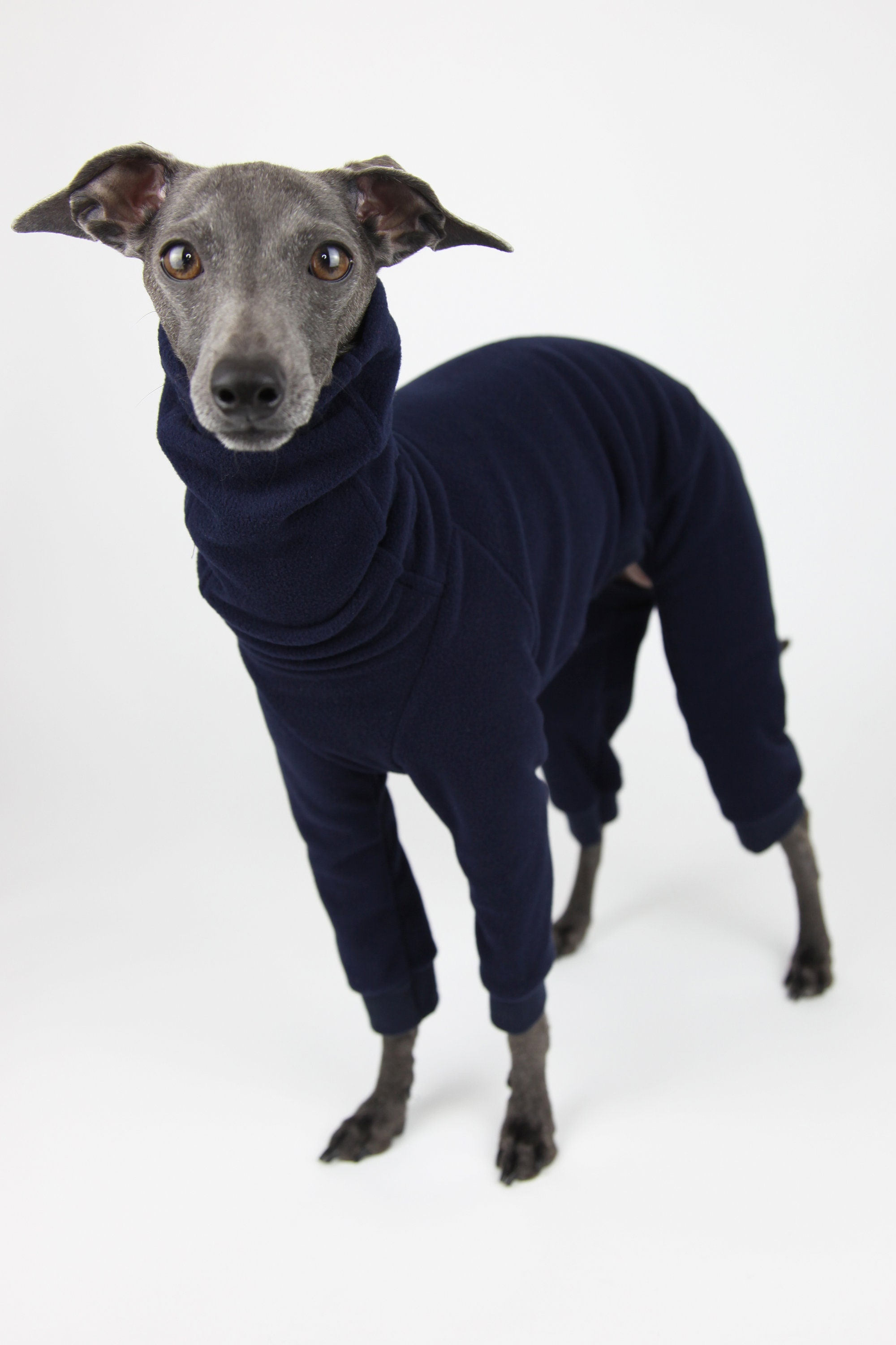 Italian Greyhound Clothing for Winter Iggy Fleece Onesie Dog Etsy