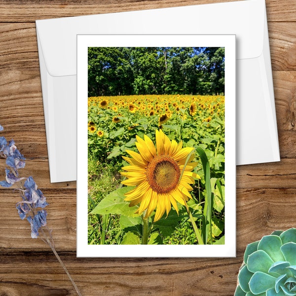 Sunflower Greeting Card, Field of Sunflowers, Photo Greeting Card, Photo Card, Photo Notecard, Blank Card, Photography