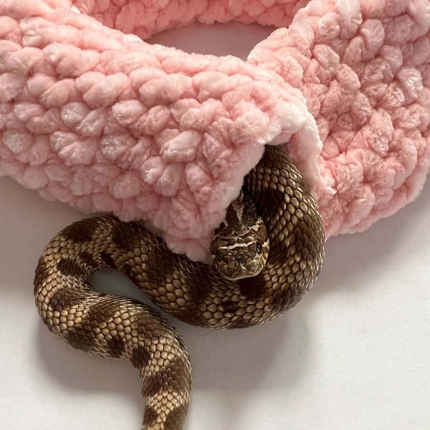 36 Snake Crochet Patterns to Stitch: Amigurumi, Plush, No-Sew, and Giftable Designs 19 Pattern Only: Small Snake Cozy