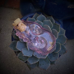 Glas Tierschädel Flasche