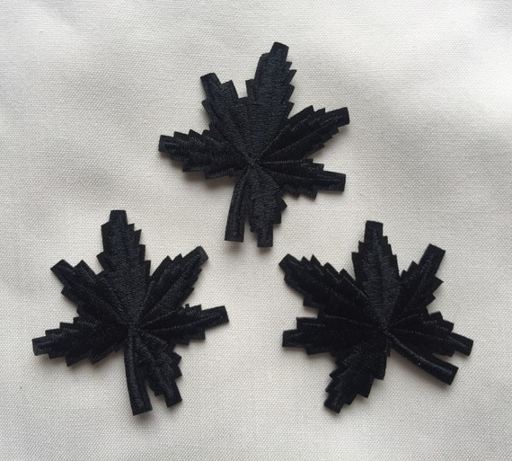 Colocasia Foglia Nera Illustris Immagini E Fotografie Stock Ad Alta