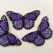 see more listings in the Mariposas section