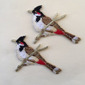 Peut inclure: Deux patchs brodés thermocollants représentant des bulbuls à moustaches rouges perchés sur des branches dorées. Les oiseaux sont bruns, blancs et rouges avec des têtes et des becs noirs.