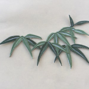 May include: Green embroidered bamboo leaf applique patch. The leaves are arranged in a cluster and have a slightly textured appearance.