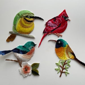 Może przedstawiać: Cztery haftowane naszywki z różnymi wzorami ptaków. Naszywki są kolorowe i szczegółowe, z czerwonym kardynałem, zielono-żółtym ptakiem, niebiesko-zielonym ptakiem i żółto-zielonym ptakiem.
