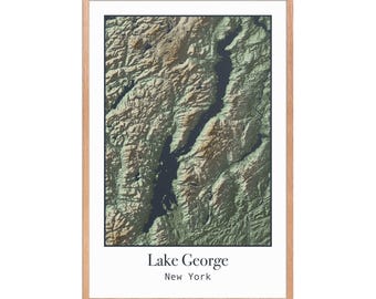 Lake George Topographic Map: 2D Modern Wall Art