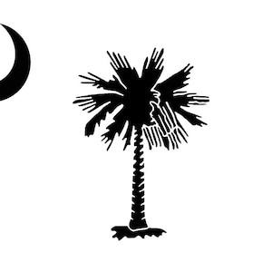 South Carolina State Flag Stencil Flags Stencils