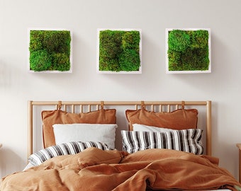 Moss Frames 12x12" - Set of 1 or 3 Preserved Moss Wall Art / Vertical Garden