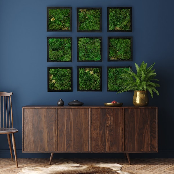 Moss Wall Art 8x8" Mood Moss Frames - Set of 1, 3, or 9