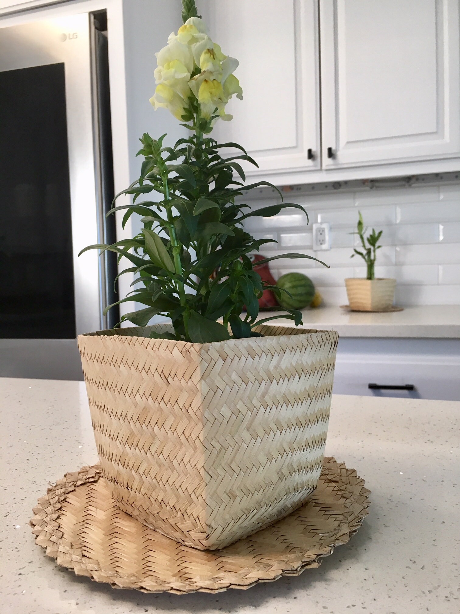 Woven Plant Basket/ Sisal Basket Cachepot/ Plant Holder/ Set Etsy