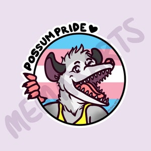 May include: A round sticker with a white possum with a pink tongue sticking out. The possum is on a background of the transgender pride flag with the text "Possum Pride" in black text above the possum.